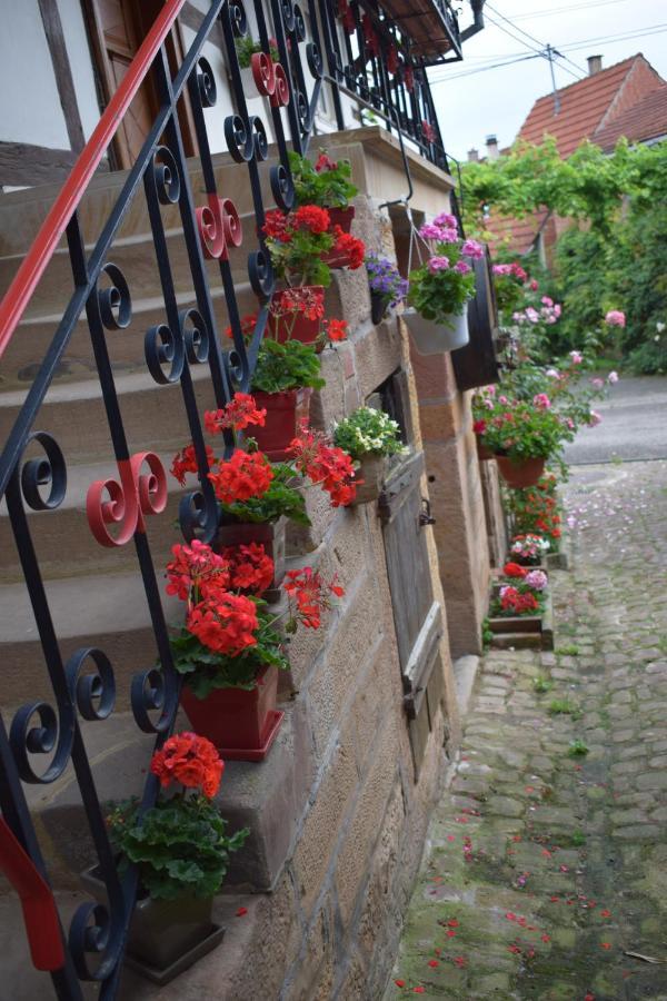 Chambres D'Hotes "La Petite Vallee" Rott Экстерьер фото